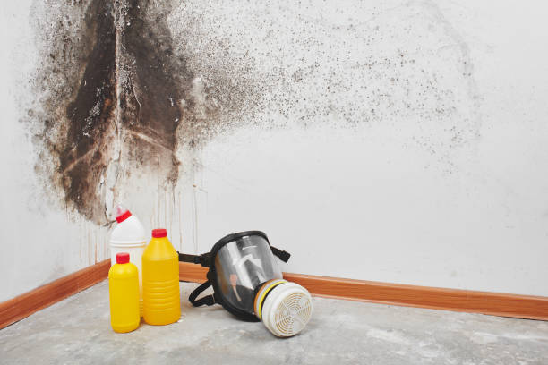Best Toxic Mold Removal  in Innsbrook, VA