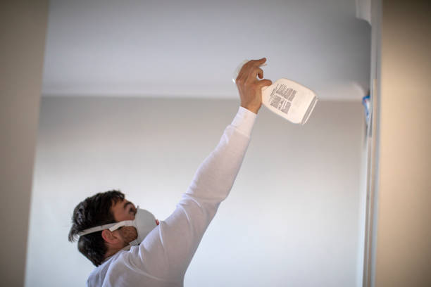 Best Fast Mold Removal  in Innsbrook, VA