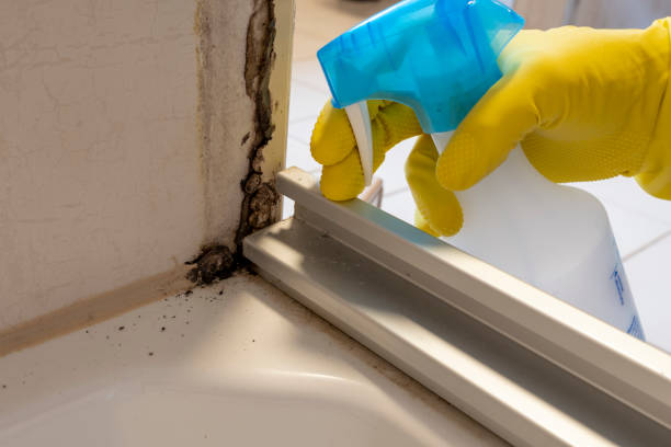 Best Crawl Space Mold Removal  in Innsbrook, VA