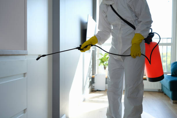 Best Mold Testing  in Innsbrook, VA