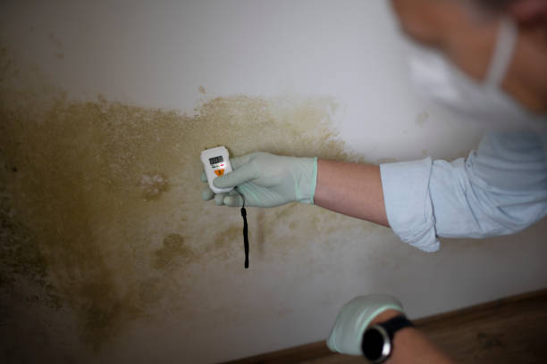 Best Residential Mold Removal  in Innsbrook, VA