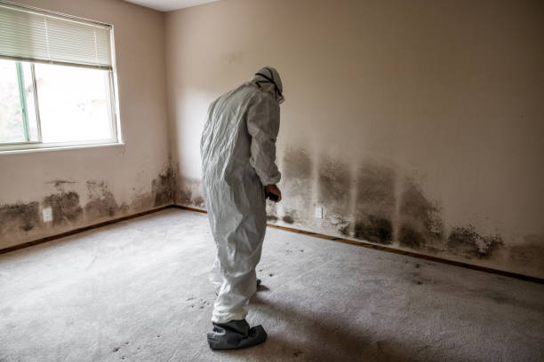 Best Mold Cleaning Services  in Innsbrook, VA